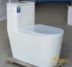 BỒN CẦU 1 KHỐI SA8008