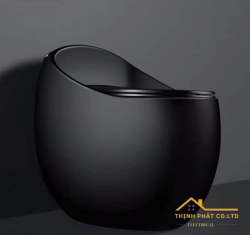 BỒN CẦU TRỨNG 1 KHỐI ĐEN SA9211