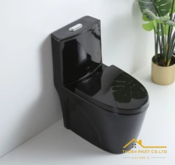 BỒN CẦU 1 KHỐI ĐEN BÓNG SA9266