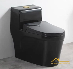 BỒN CẦU 1 KHỐI ĐEN BÓNG SA9267