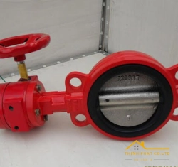 VAN BƯỚM TÍN HIỆU (50-300)
