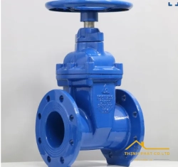 VAN CỔNG TY CHÌM MẶT BÍCH ( KÈM TRẠNG THÁI ĐÓNG MỞ) (50-300)