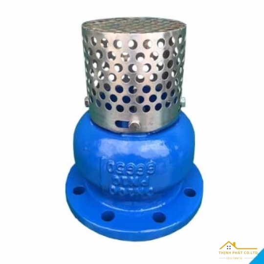 RỌ BƠM/ LUPPE MẶT BÍCH (50-300)