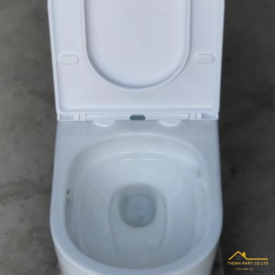 BỒN CẦU 1 KHỐI SA8008