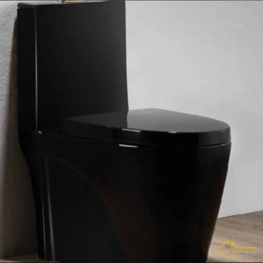 BỒN CẦU 1 KHỐI ĐEN BÓNG SA9266