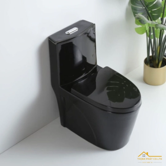 BỒN CẦU 1 KHỐI ĐEN BÓNG SA9266