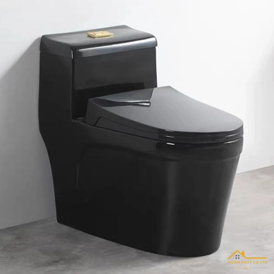 BỒN CẦU 1 KHỐI ĐEN BÓNG SA9267