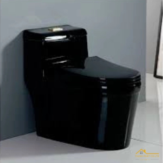 BỒN CẦU 1 KHỐI ĐEN BÓNG SA9267